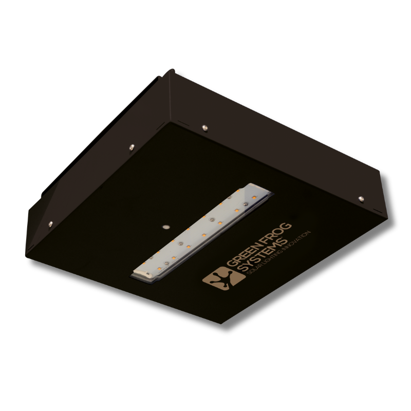 MSL-50 a black bus shelter solar light