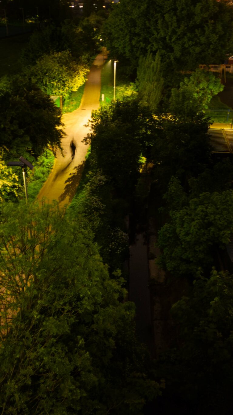 solar pathway lighting with PIR activation and man walking at night